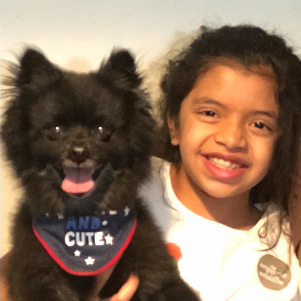 Meet your Posher, Noe